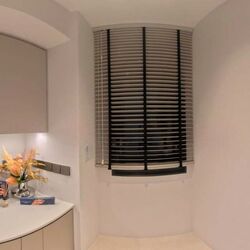 The Sen (D21), Condominium #522308411